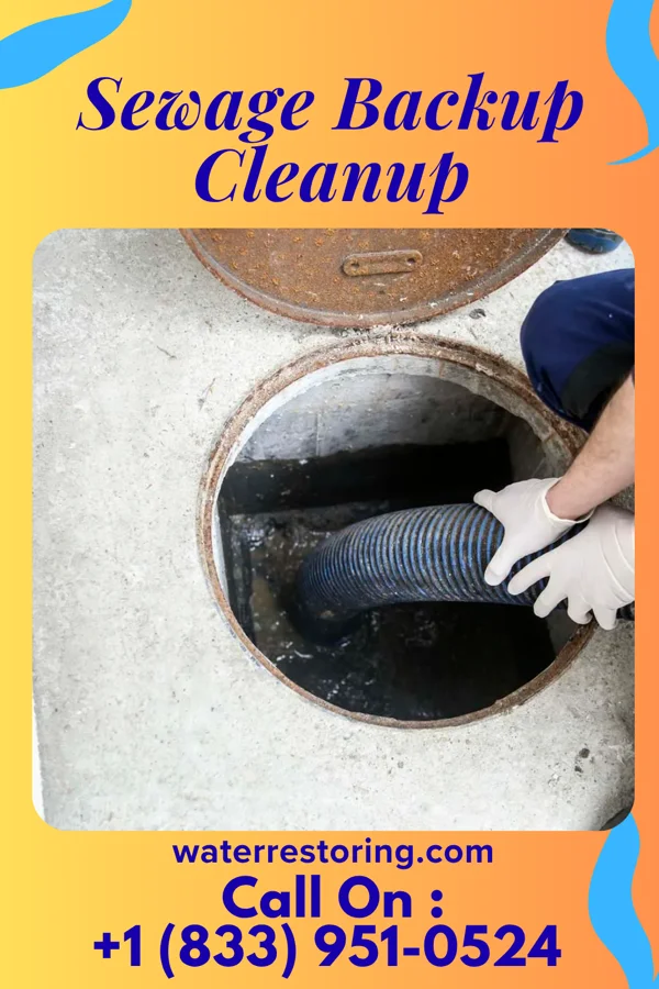 Sewage Backup Cleanup in Gay, GA