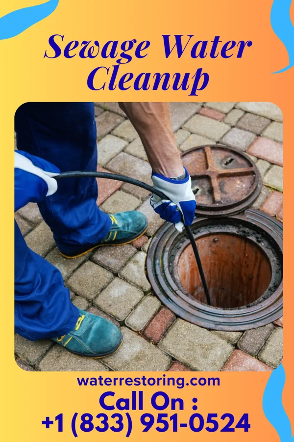 Sewage Water Cleanup in Gay, GA