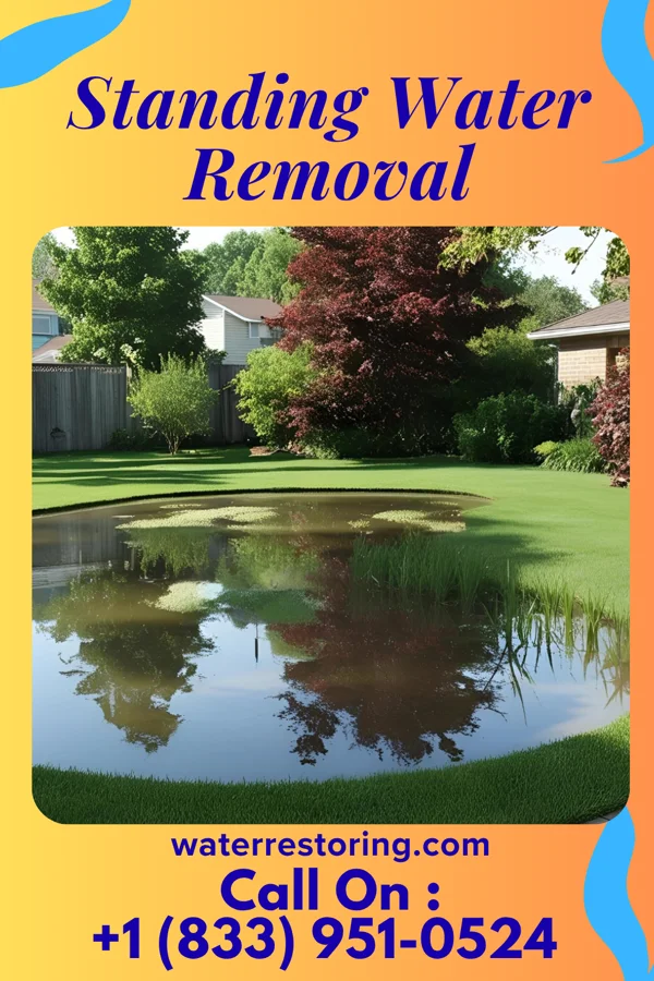 Standing Water Removal in Gay, GA